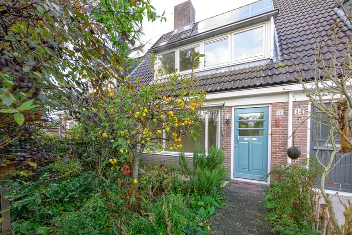 Photo 39 of Dommelstraat 16