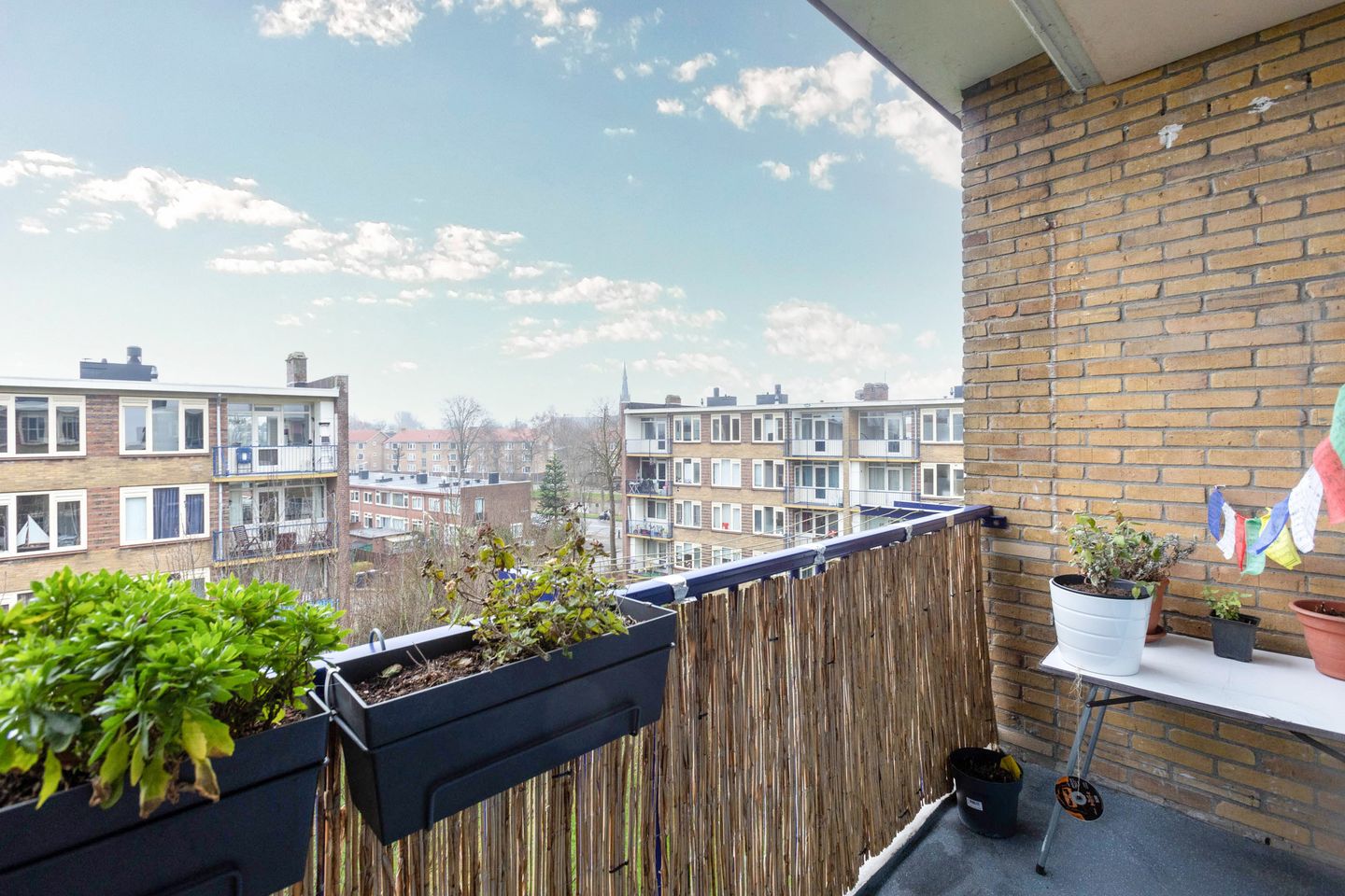 Photo 4 of J.H.Leopoldhof 24