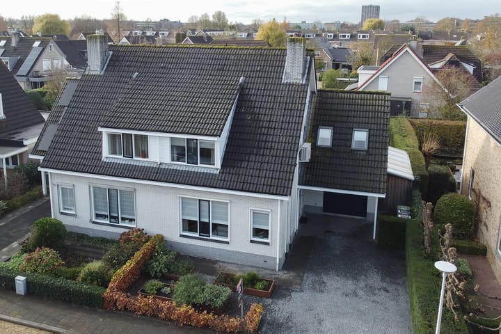 Foto 1 van IJsvogel 11