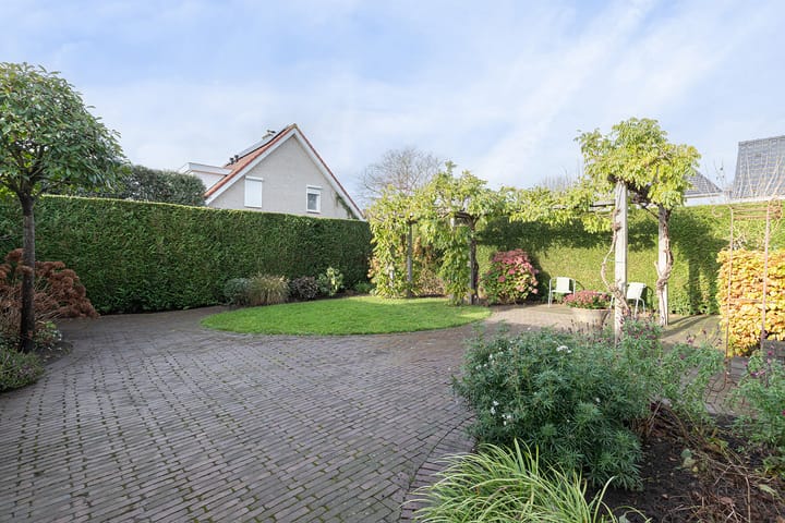 Foto 4 van IJsvogel 11