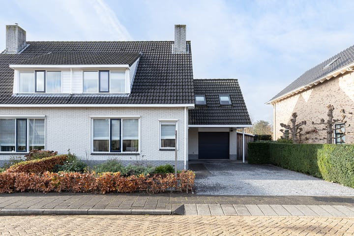 Foto 5 van IJsvogel 11