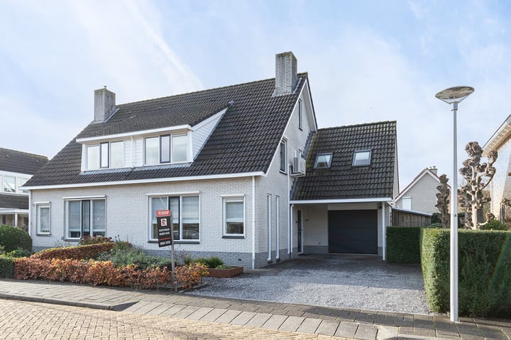 Foto 6 van IJsvogel 11