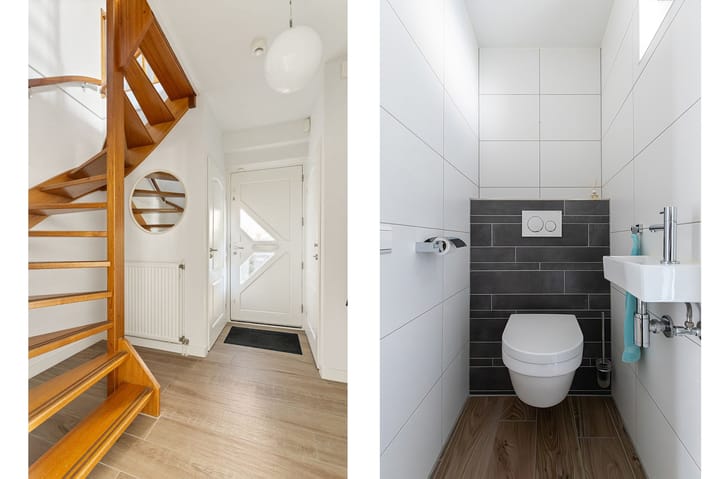 Foto 7 van IJsvogel 11