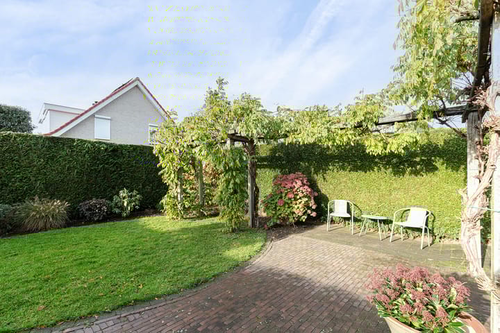 Foto 33 van IJsvogel 11