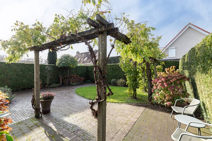 Foto 34 van IJsvogel 11