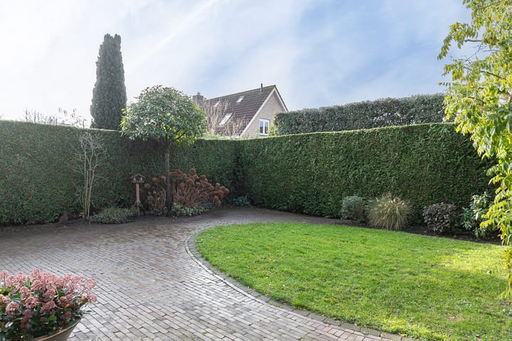 Foto 35 van IJsvogel 11