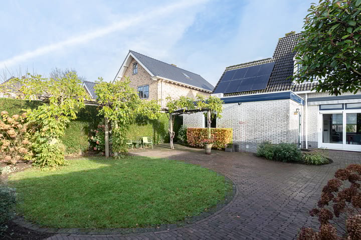 Foto 38 van IJsvogel 11