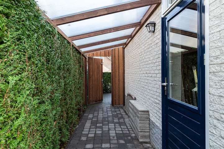 Foto 41 van IJsvogel 11