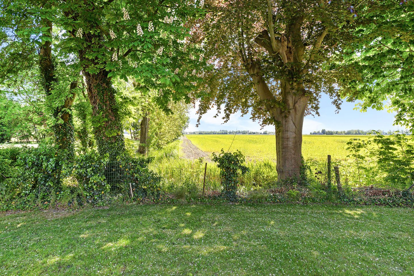Photo 34 of Tweehuizerweg 19