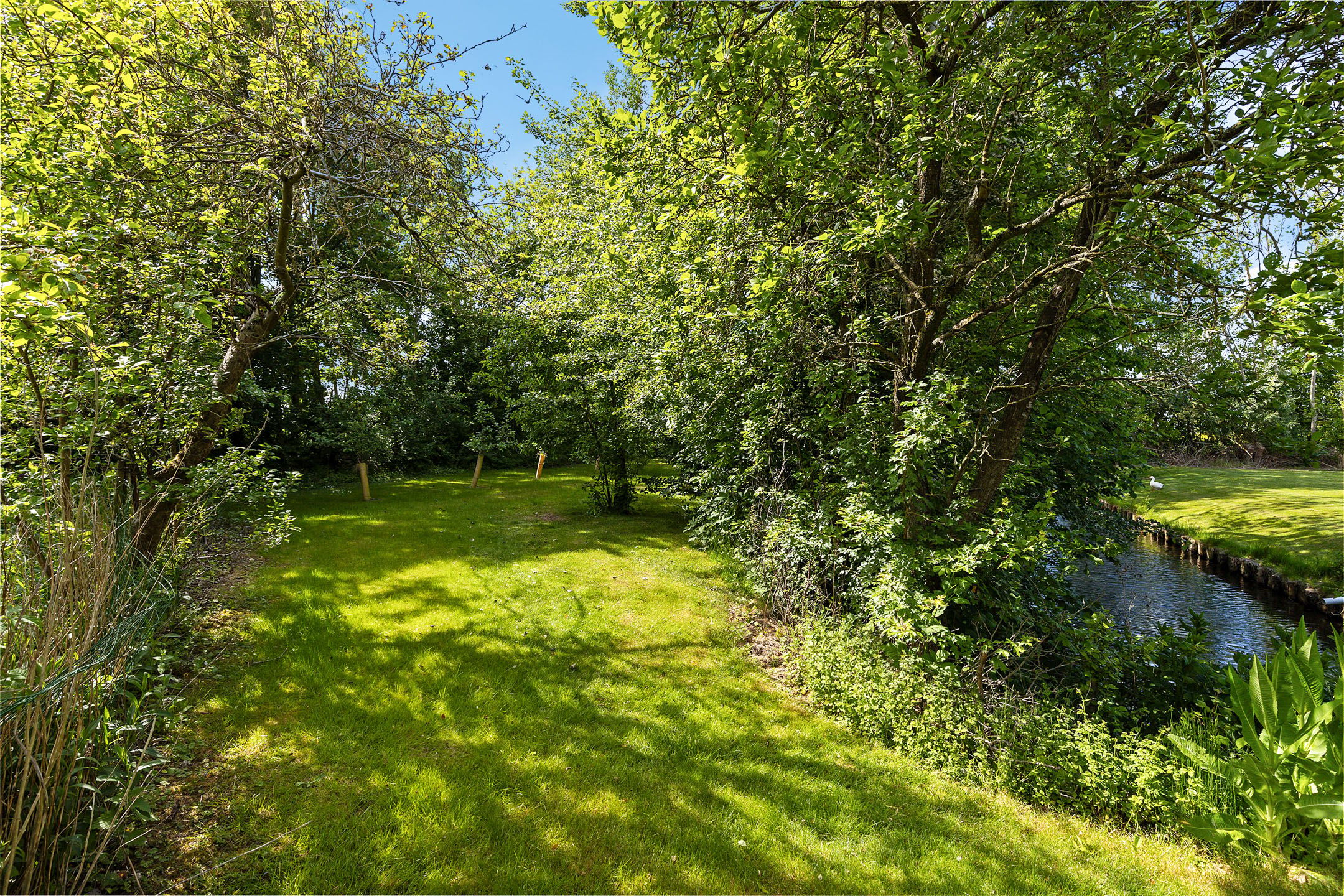 Photo 36 of Tweehuizerweg 19