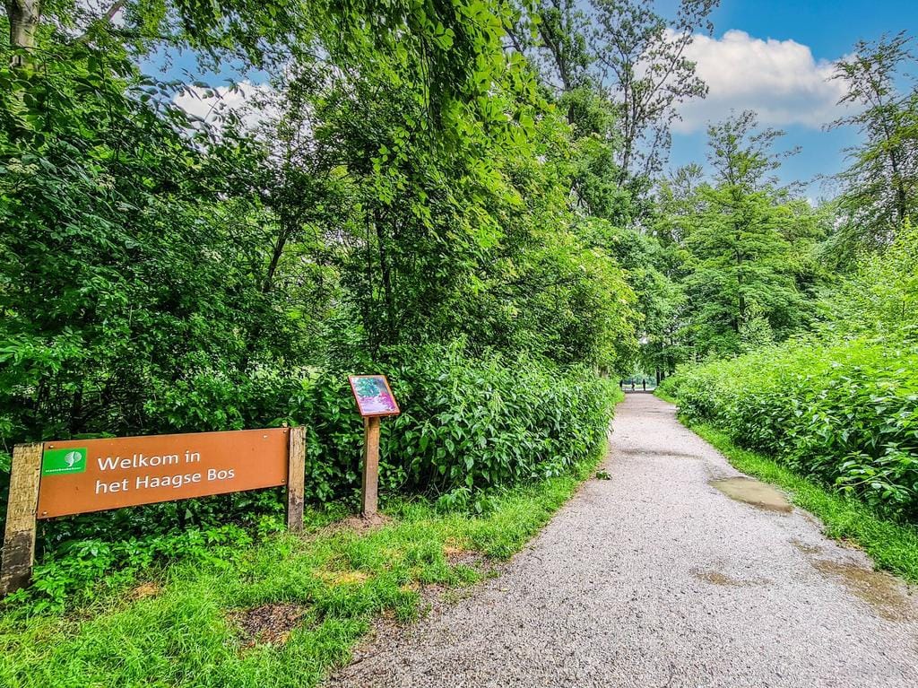 Foto 20 van Bezuidenhoutseweg 281