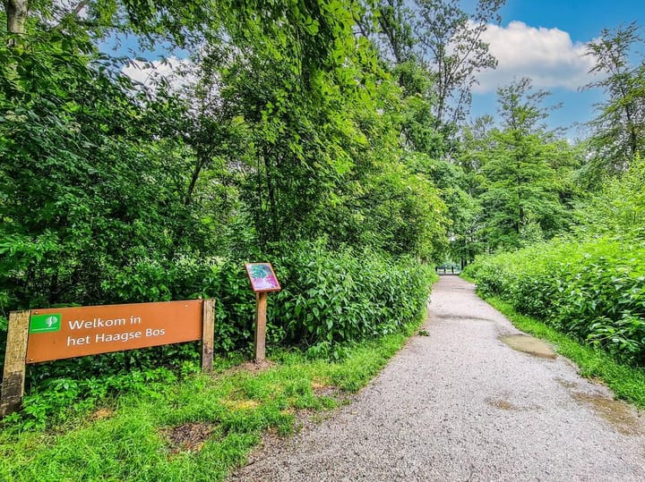 Photo 20 of Bezuidenhoutseweg 281