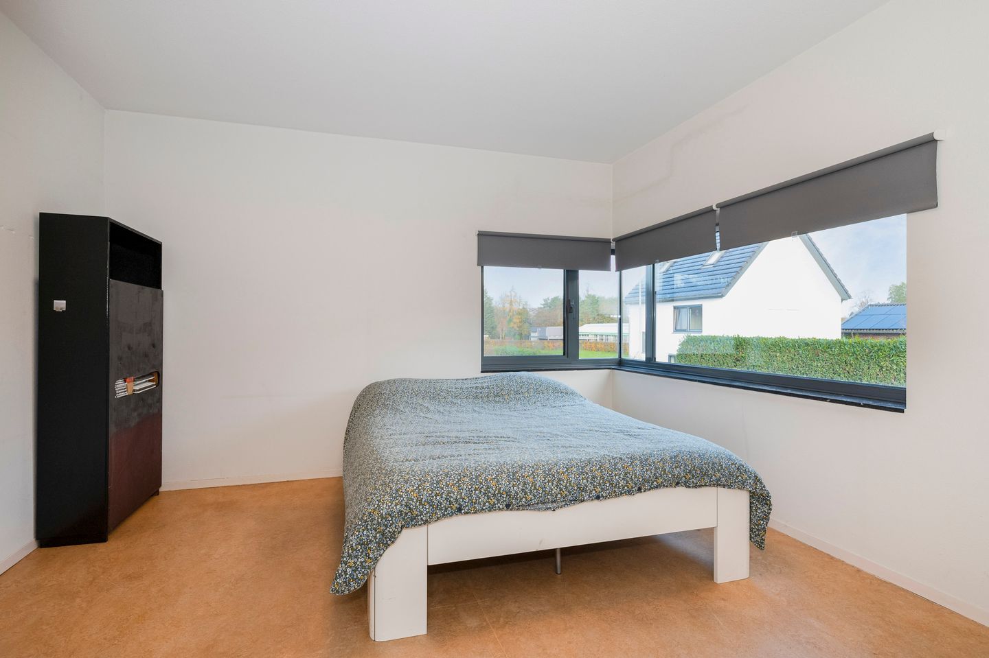 Photo 25 of Daniken 17