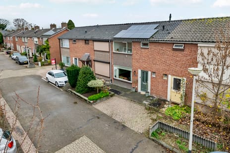 undefined main image