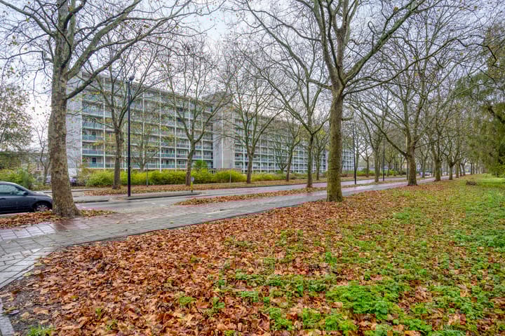 Photo 20 of Lepelaarsingel 344