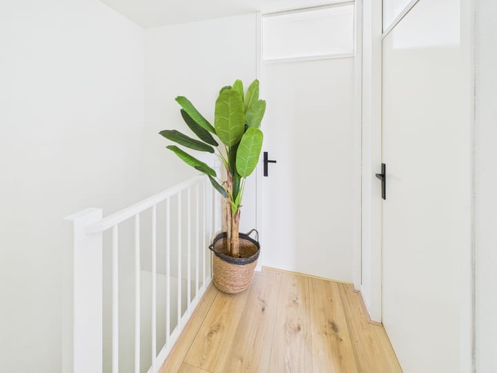 Photo 17 of Klaprooslaan 46