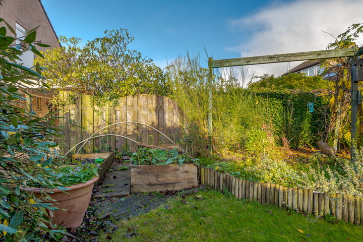 Photo 20 of Oldekamp 20