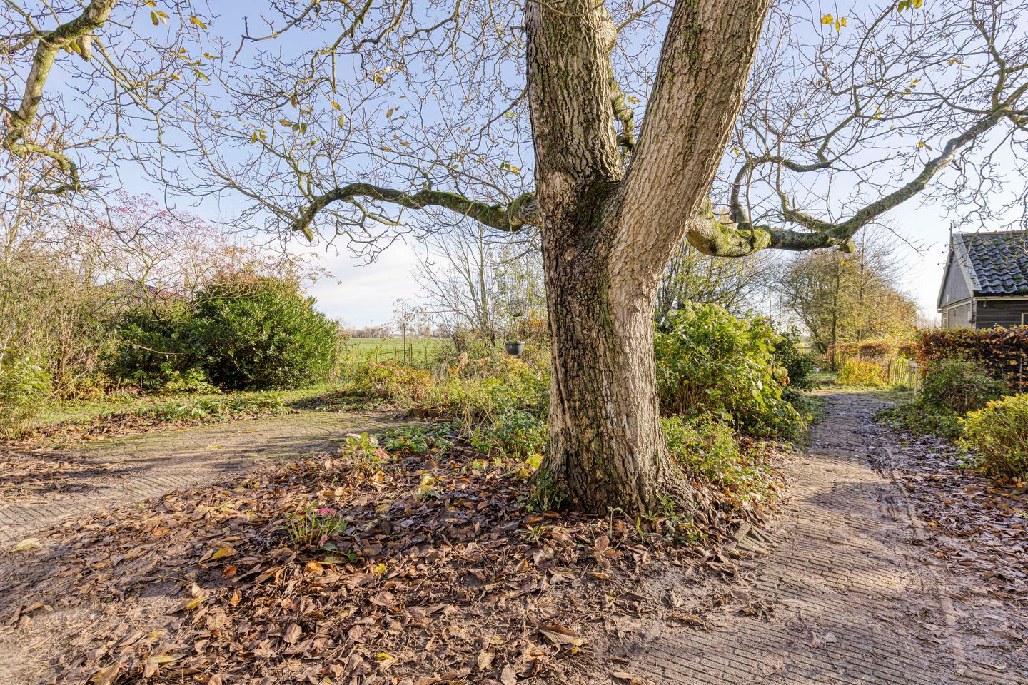 Foto 20 van Weereweg 71