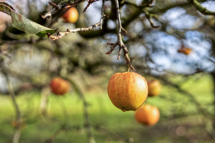 Photo 26 of Weereweg 71