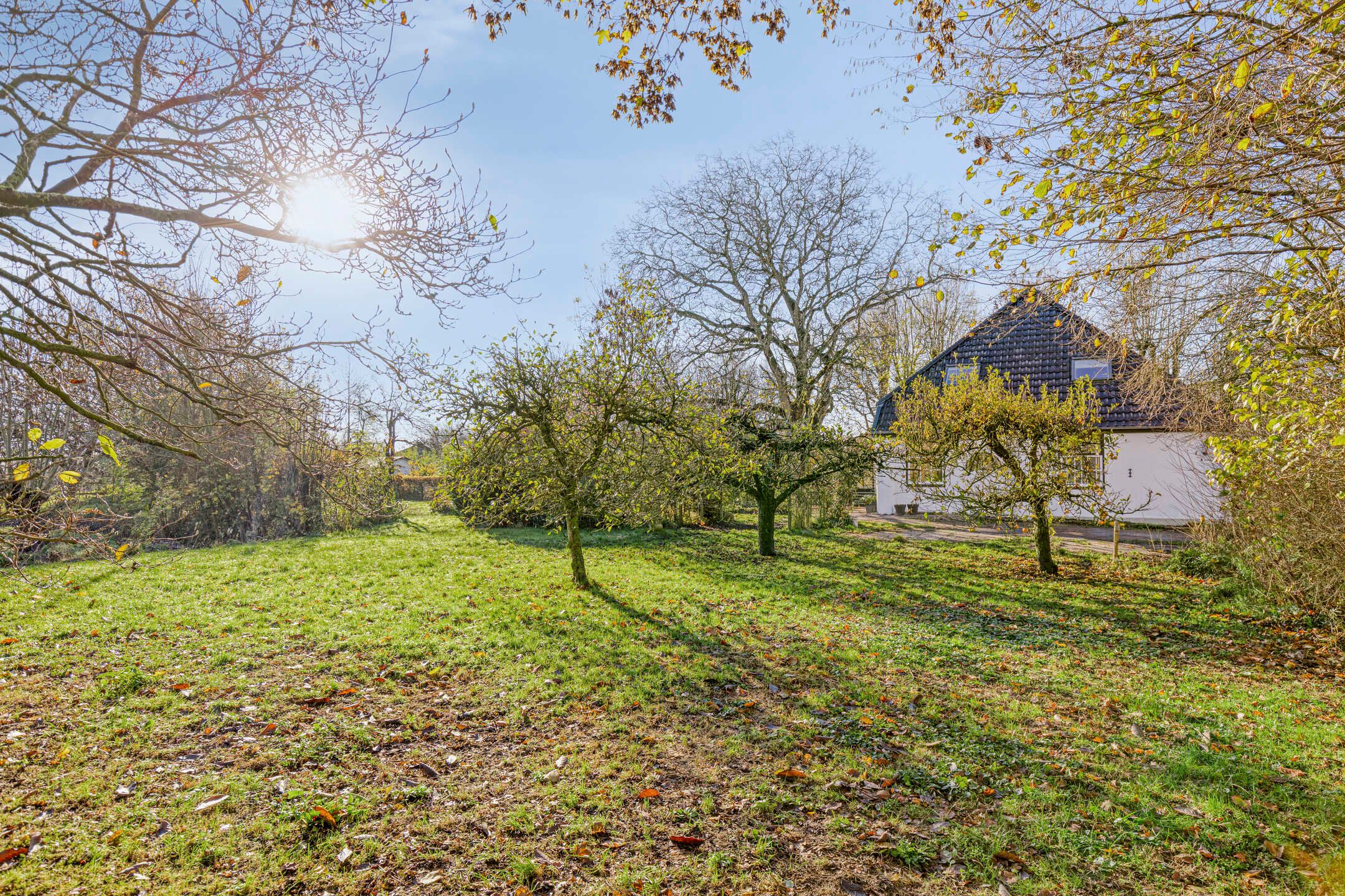 Foto 27 van Weereweg 71