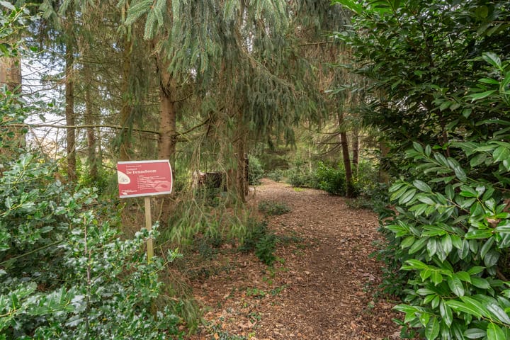 Foto 3 van Kleine Molenstraat 5