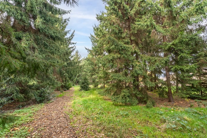 Photo 35 of Kleine Molenstraat 5