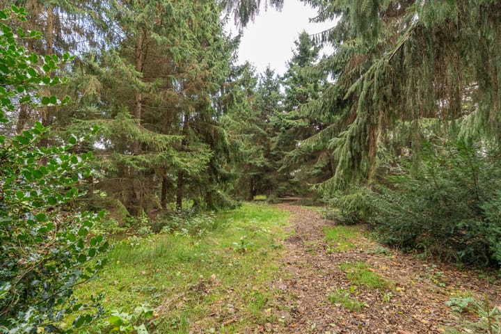 Photo 37 of Kleine Molenstraat 5