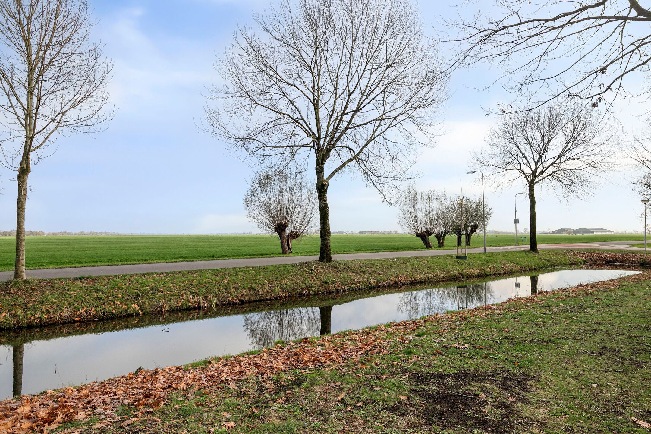 Photo 42 of Reigersdreef 24