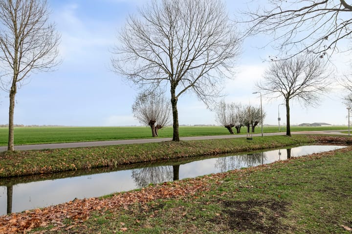 Photo 42 of Reigersdreef 24