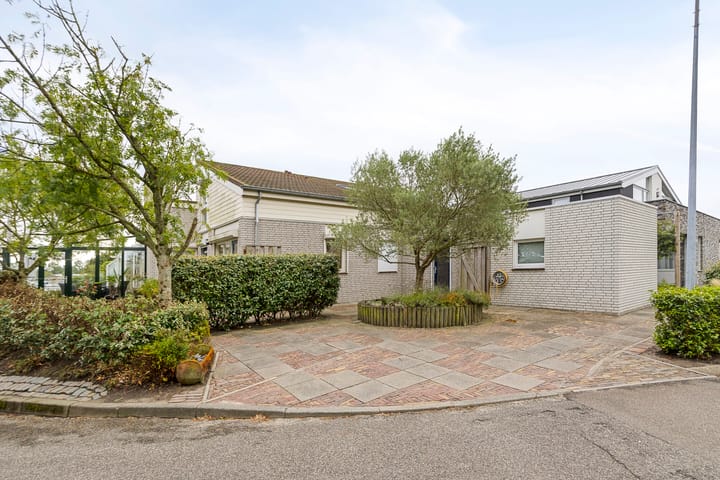 Photo 2 of Ostrea 15