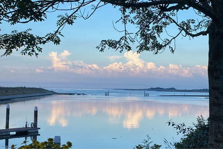 Photo 3 of Ostrea 15