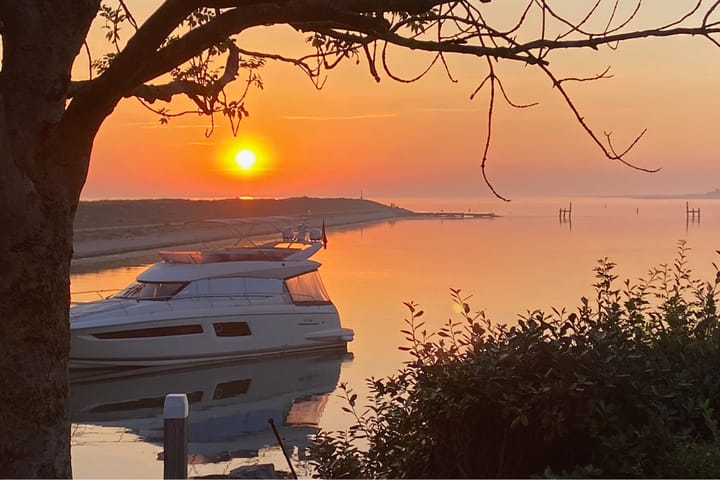 Photo 4 of Ostrea 15