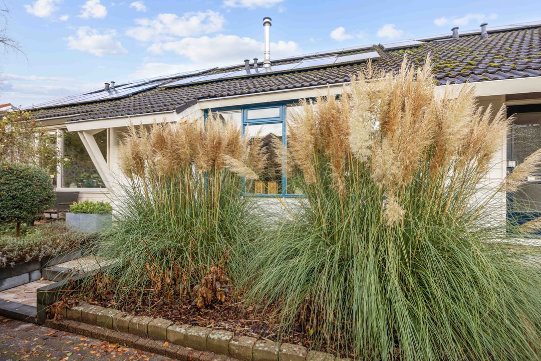 Foto 2 van Salvialaan 4