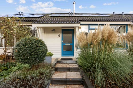 undefined main image