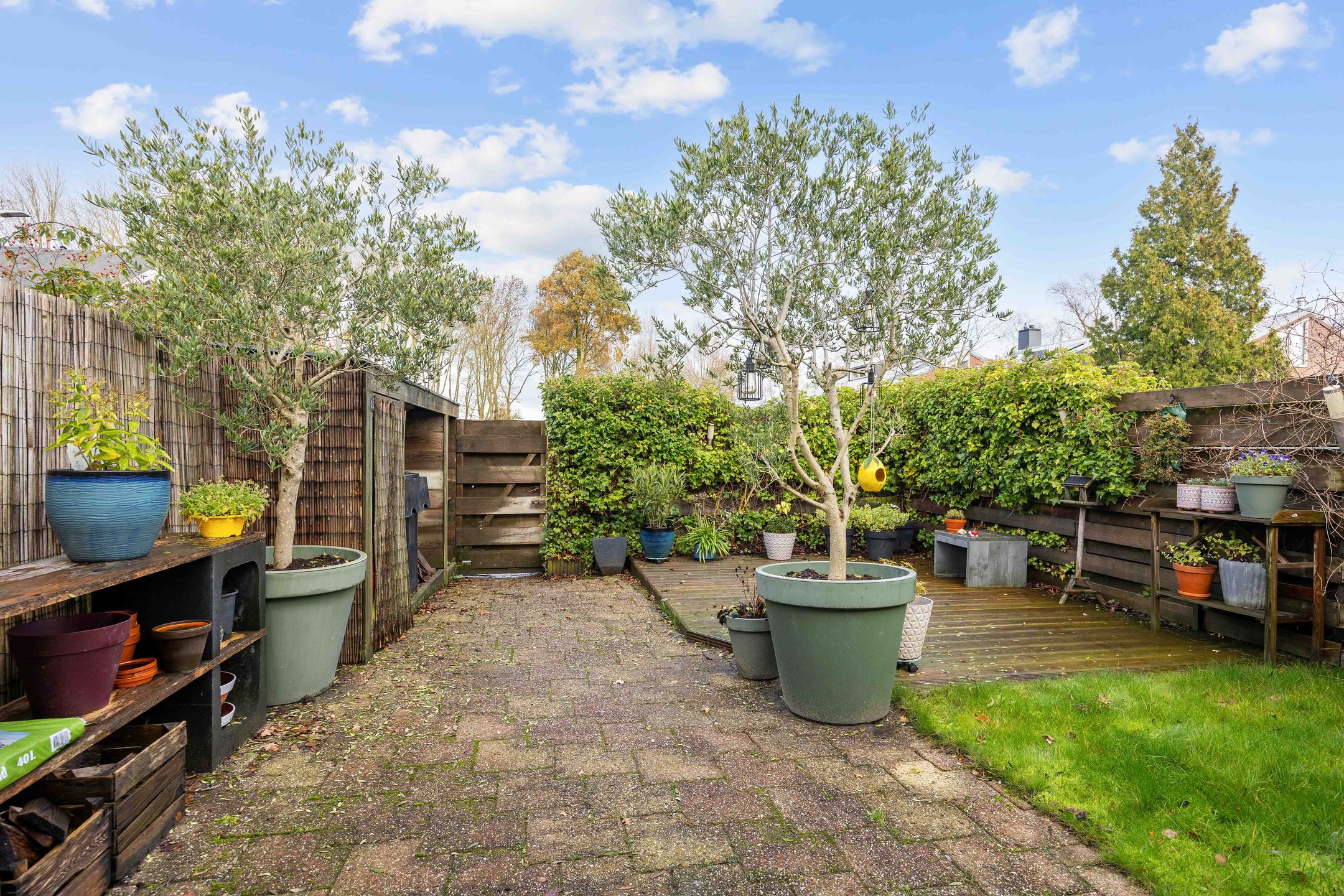 Foto 51 van Salvialaan 4