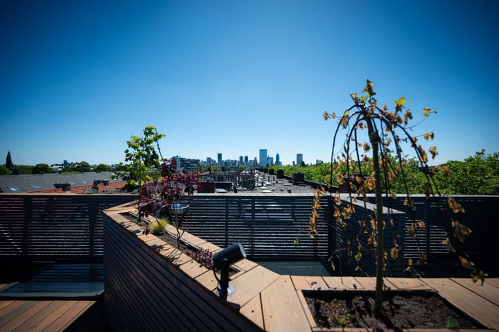 Foto 5 van Schieweg 231-A03