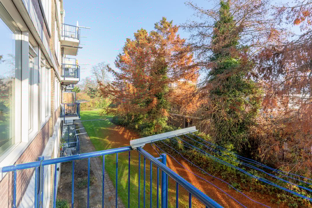 Foto 23 van Sint-Annalandstraat 106