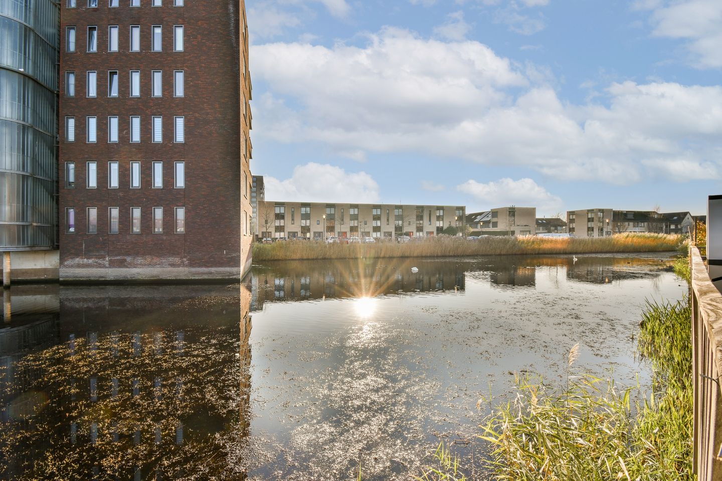 Photo 4 of Olijfhout 41