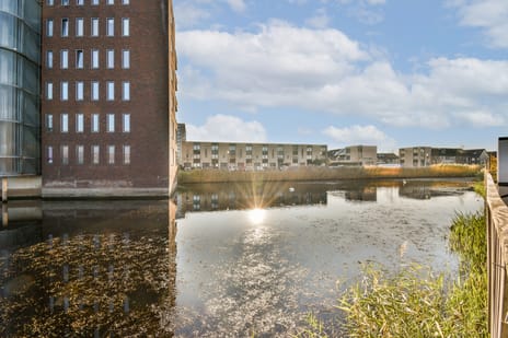 Olijfhout 41 secondary image