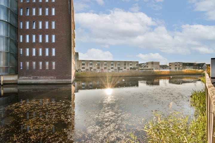 Photo 2 of Olijfhout 41