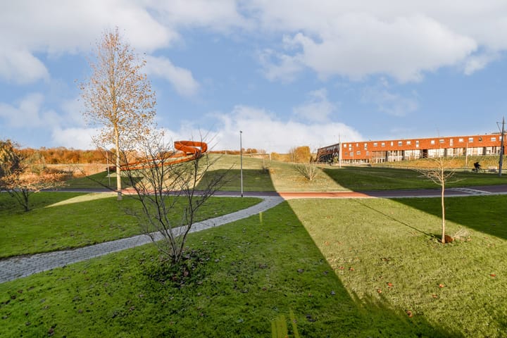 Foto 29 van Olijfhout 41