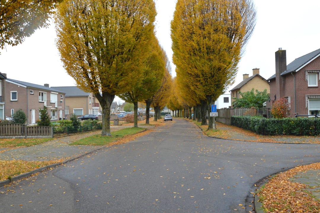 Foto 26 van Mozartstraat 87