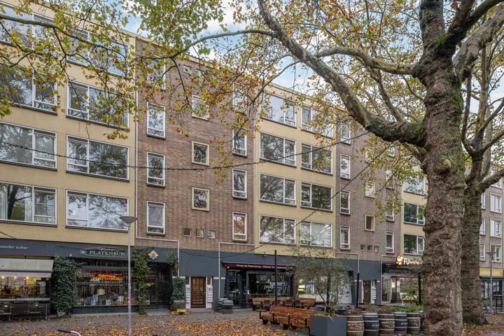 Foto 4 van Goudsesingel 334-C