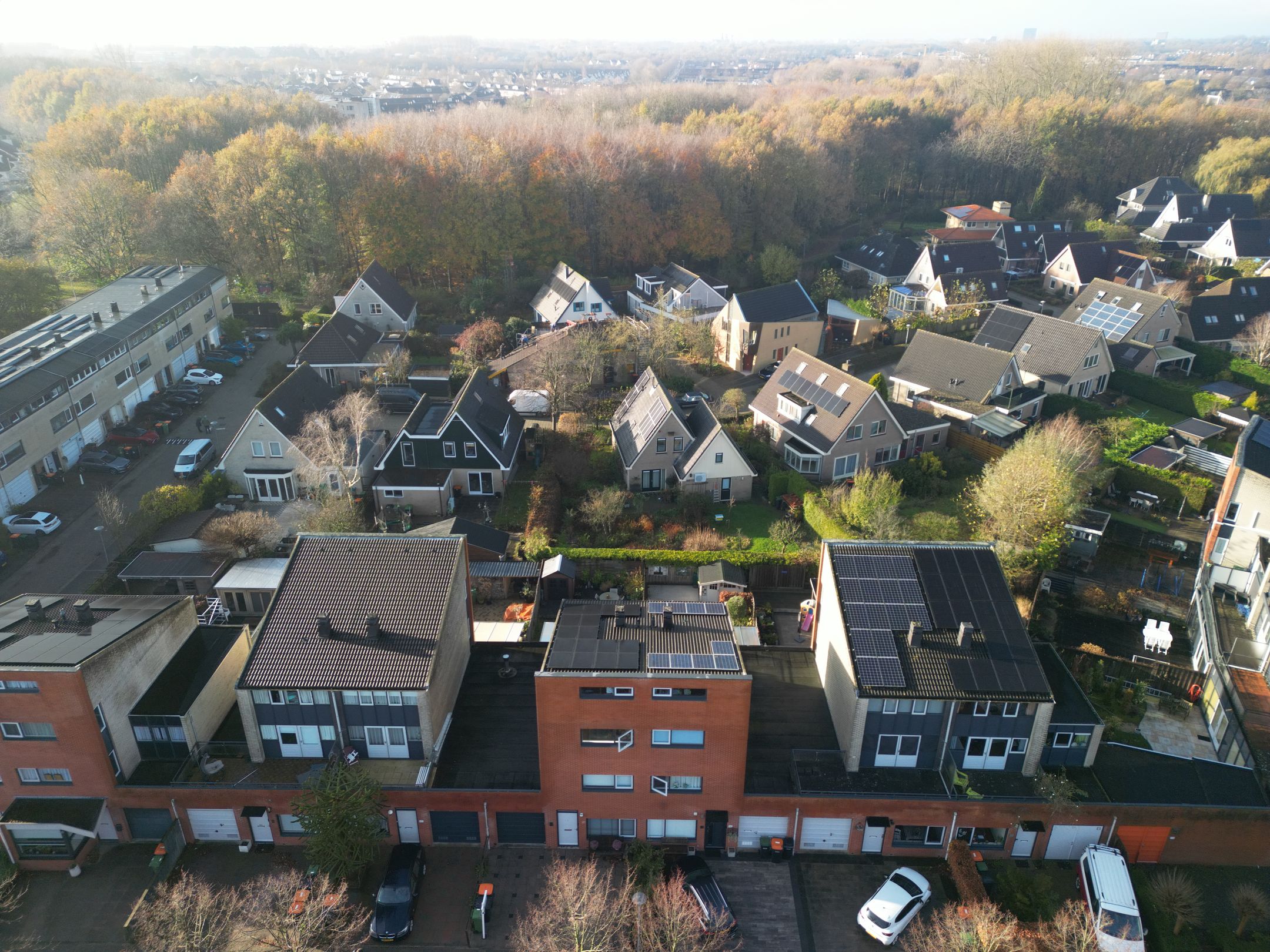 Bertus Aafjeshof, 162, Hoorn (NH), 1628VT, Noord-Holland, Nederland 162 