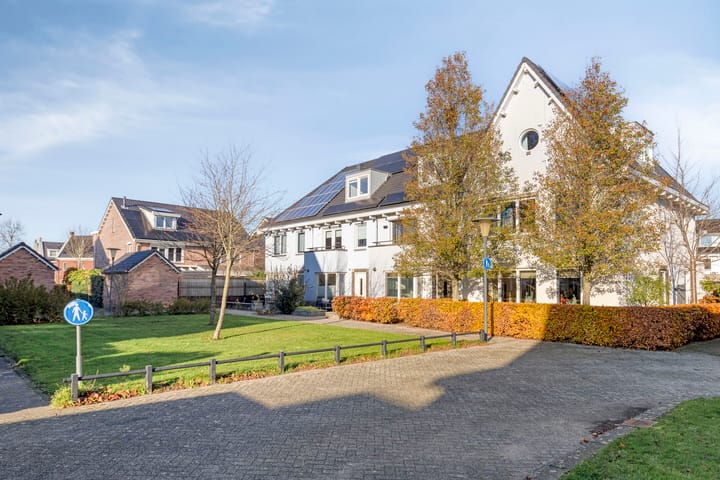 Foto 6 van Lofoten 42