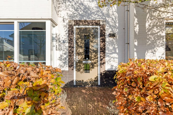 Foto 8 van Lofoten 42