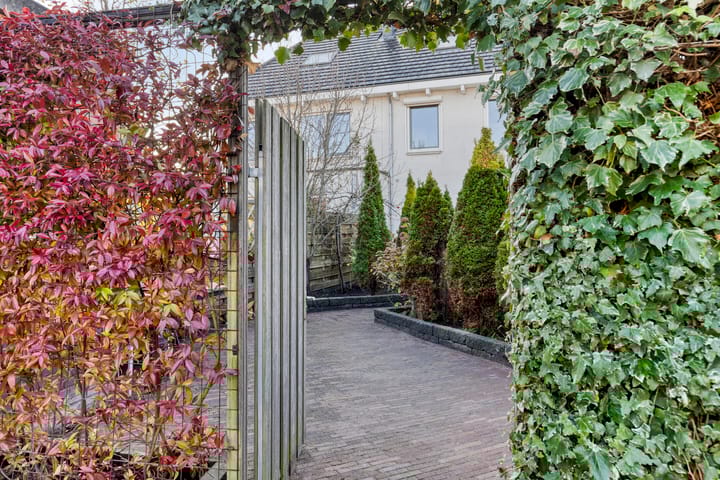 Foto 23 van Lofoten 42