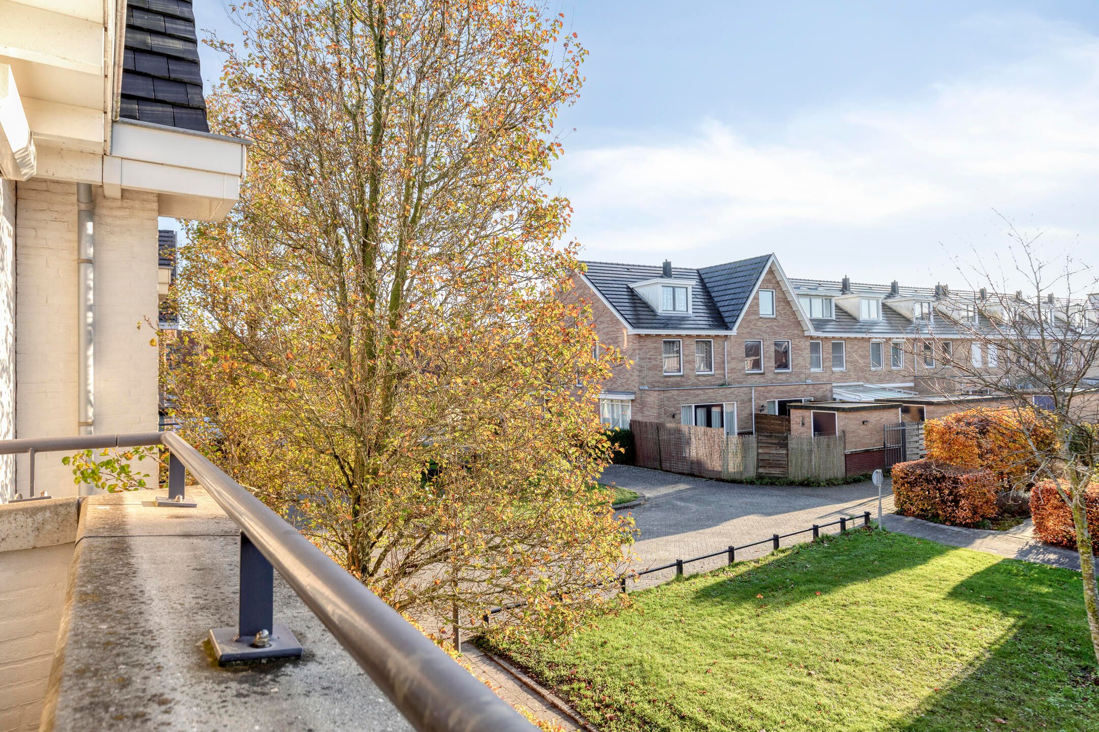 Photo 36 of Lofoten 42