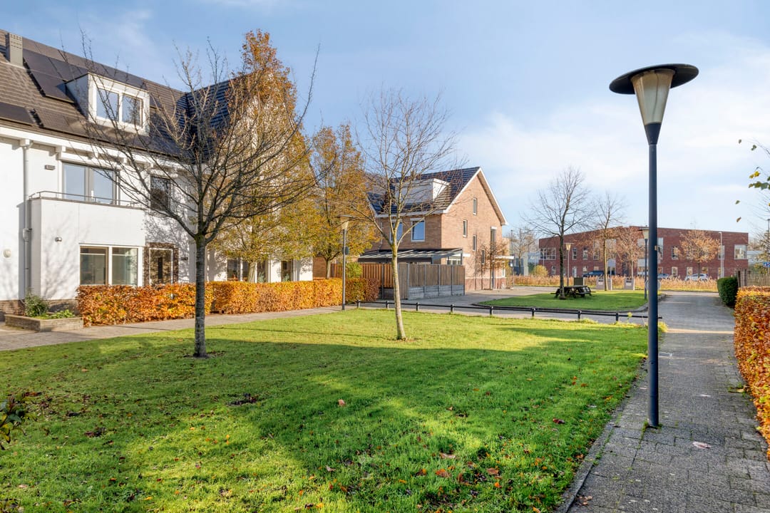 Photo 46 of Lofoten 42