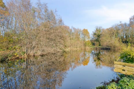 Langeleegte 100 tertiary image